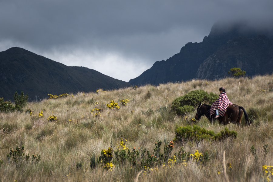 Volcan Pichincha, Quito