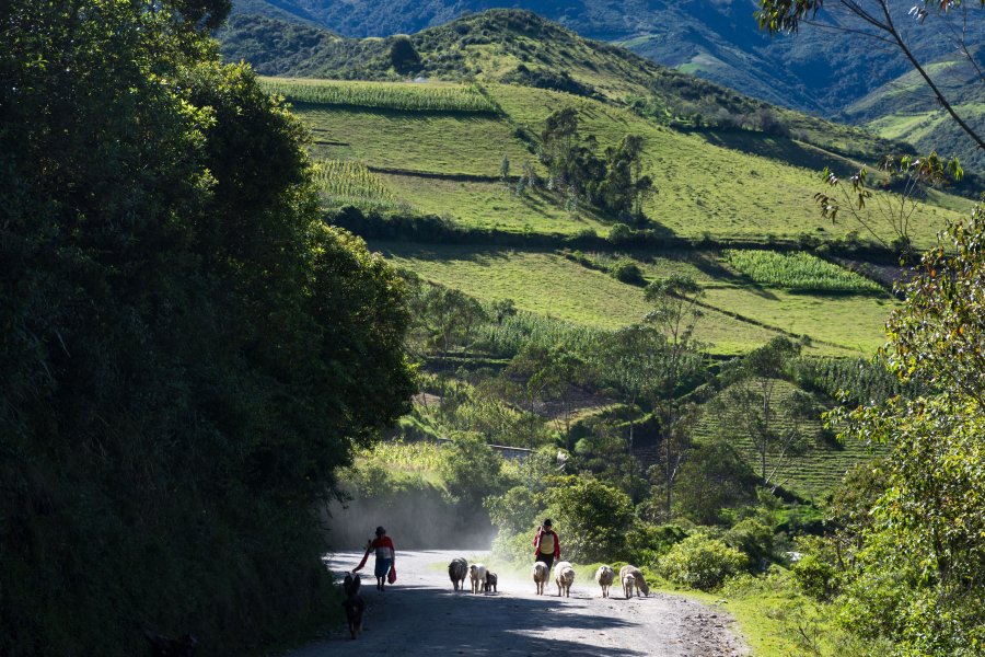 Randonnée entre Isinlivi et Sigchos, Equateur