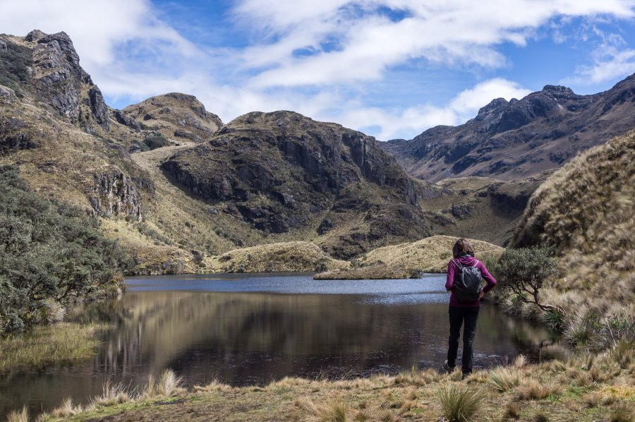 Randonnée dans le parc national El Cajas, Equateur