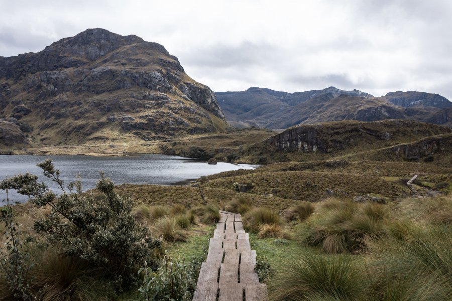 Parc national El Cajas, Cuenca, Équateur