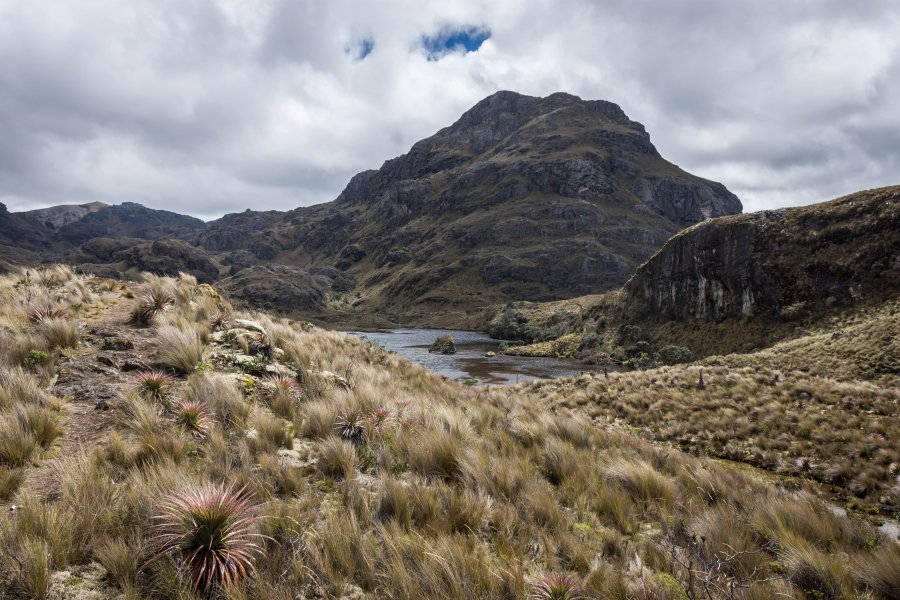 Parc national El Cajas, Équateur