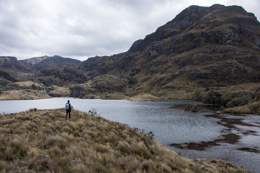 Parc national El Cajas, Équateur