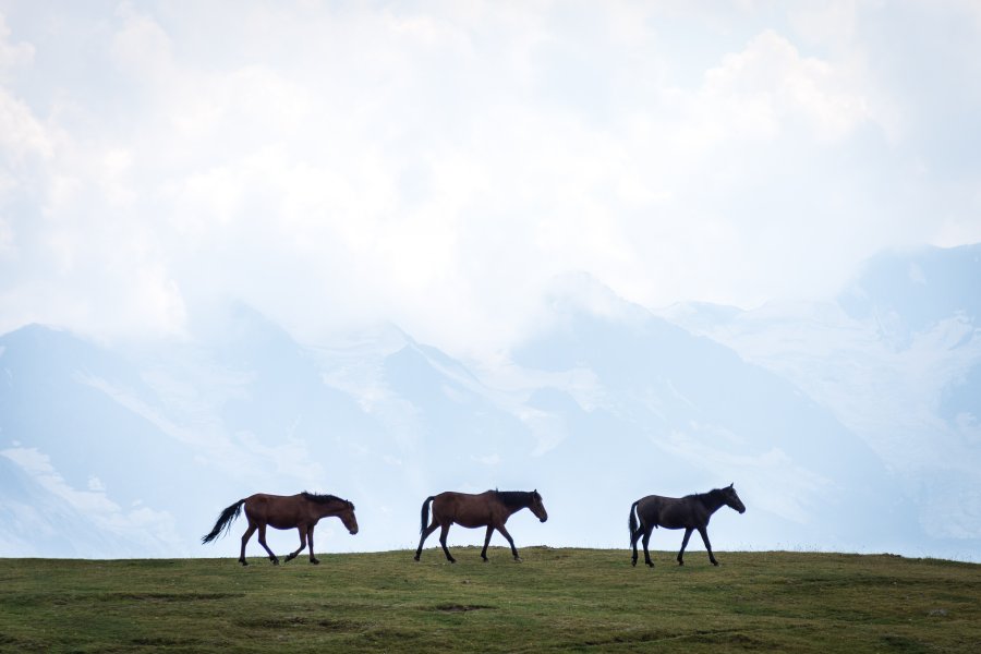 Montagnes de Svanétie, Mestia, Géorgie