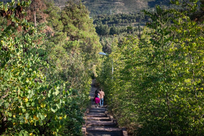 De la colline Mtatsminda à Narikala, Tbilissi