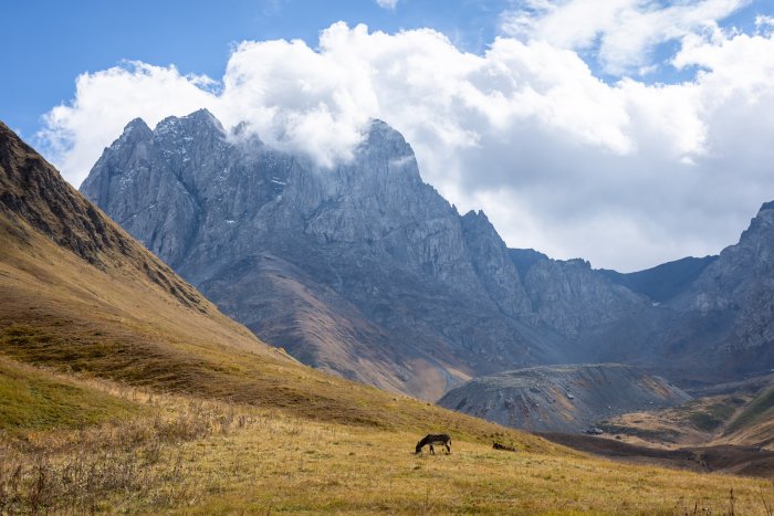 Mont Chaukhi dans la vallée de Sno, Kazbegi, Géorgie