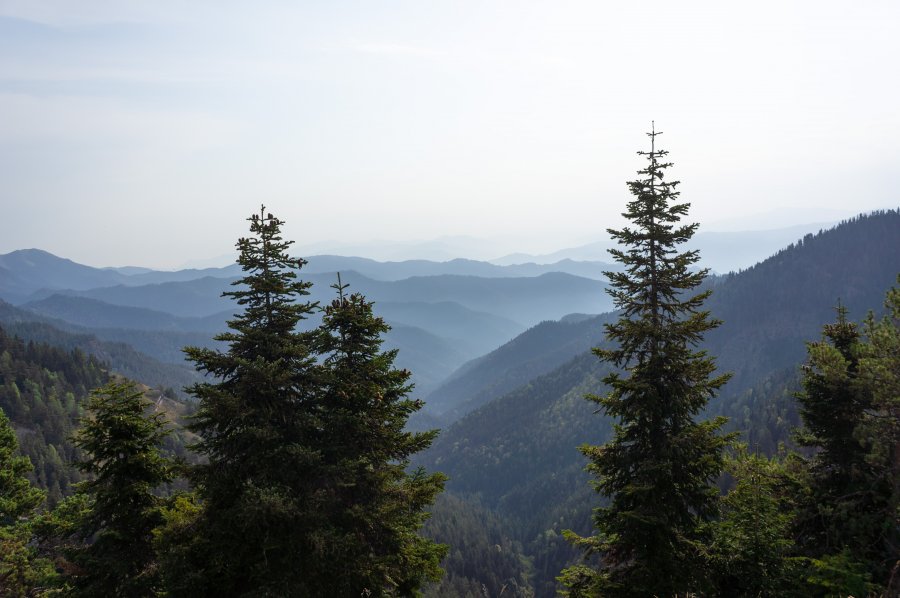 Panorama trail, Borjomi-Kharagauli, Géorgie