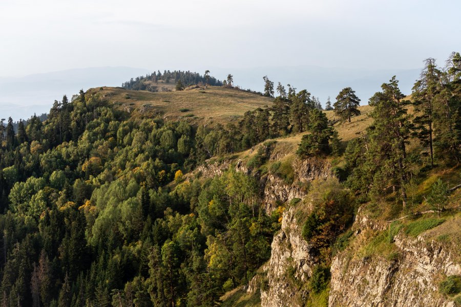 Randonnée sur le Panorama trail, Borjomi, Géorgie