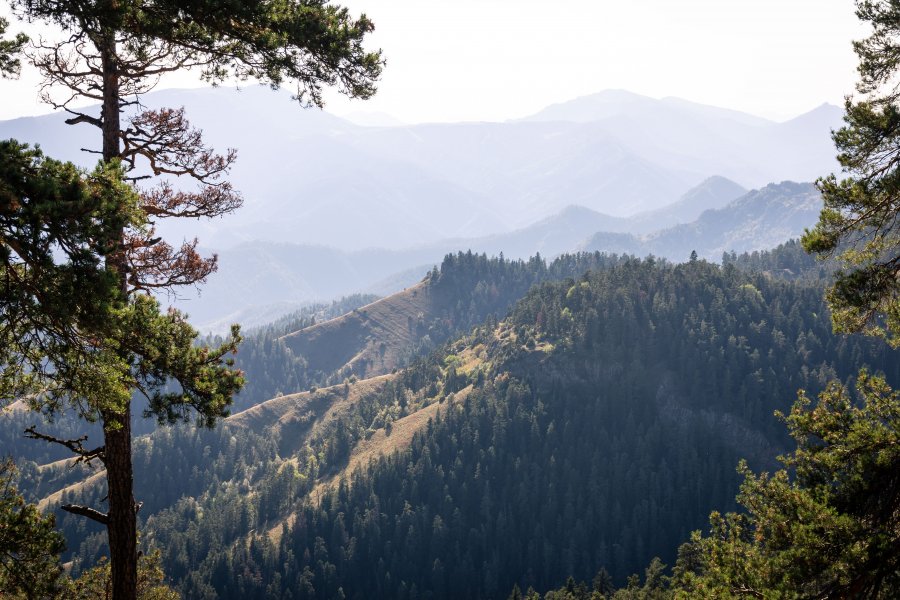 Paysage de montagne à Borjomi, Géorgie