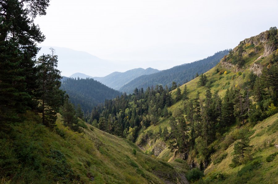 Randonnée dans le parc national de Borjomi, Géorgie