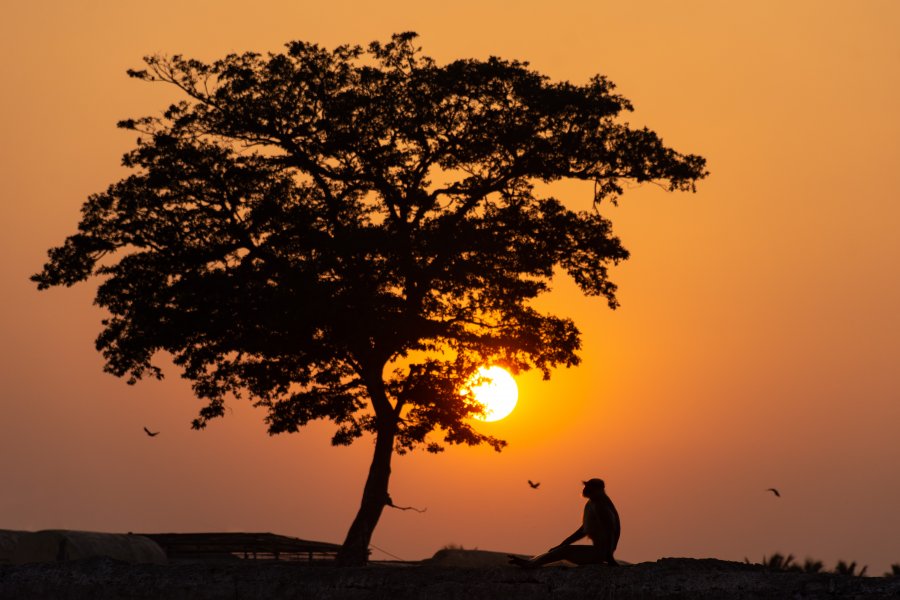 Coucher de soleil à Hampi, Inde