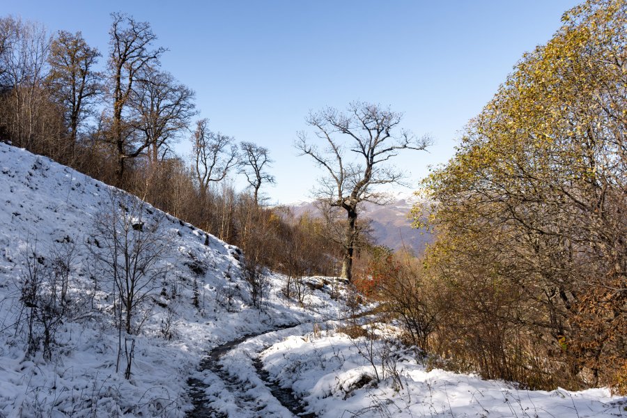 Neige sur le parc national de Dilijan, Arménie