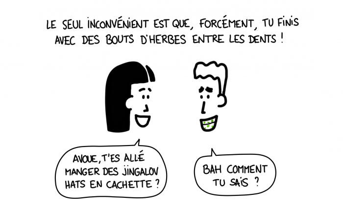 Dessin : Les Jingalov Hats, la garantie d'avoir plein d'herbes entre les dents !