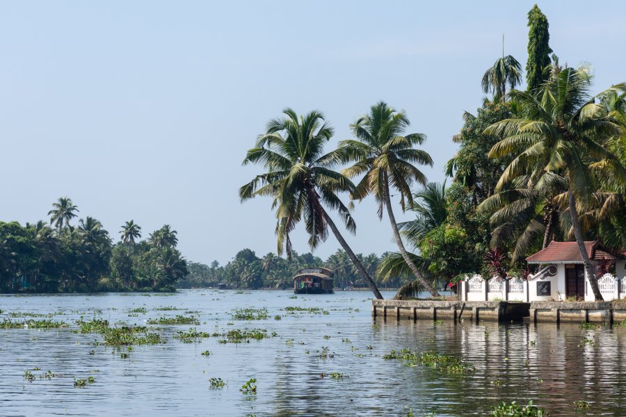 Les backwaters d'Alappuzha, Kerala, Inde du sud