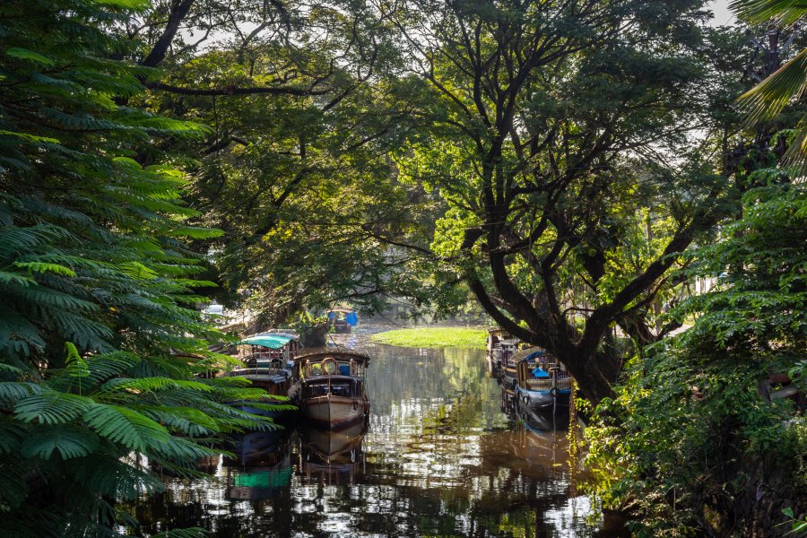 Canal d'Alleppey, Backwaters du Kerala, Inde du sud