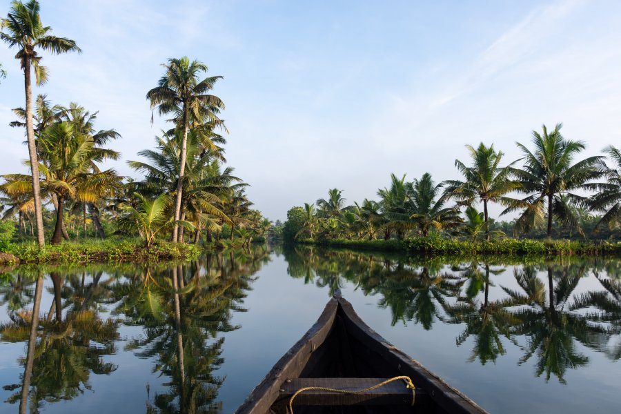 Bateau sur les backwaters, Kerala, Inde