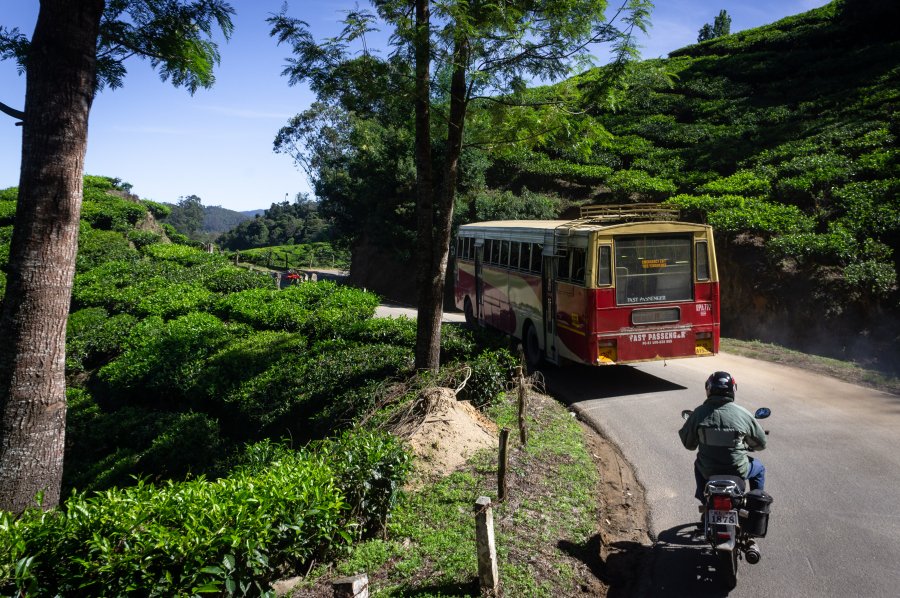 Bus dans les plantations de thé de Munnar, Inde