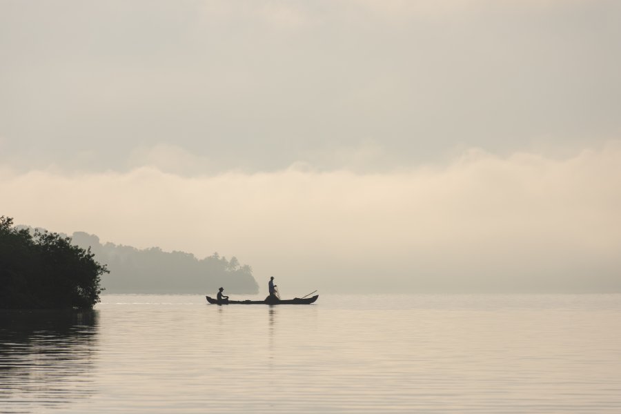 Lever de soleil sur les backwaters du Kerala, Inde