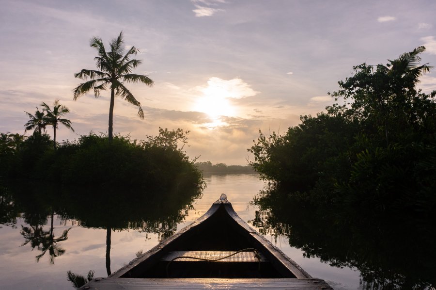 Lever de soleil sur les backwaters, Munroe Island, Kollam