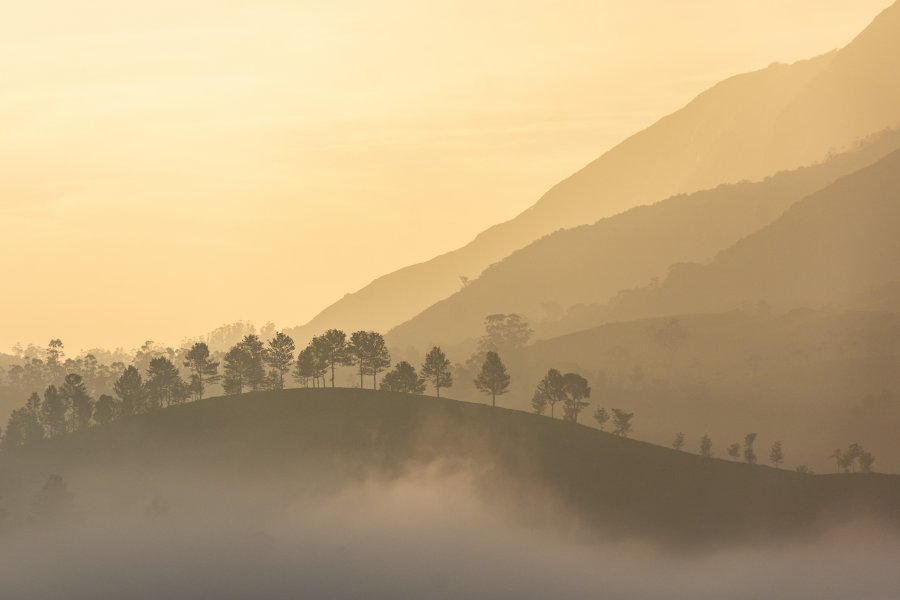 Lever de soleil sur les collines de Munnar, Kerala, Inde du sud