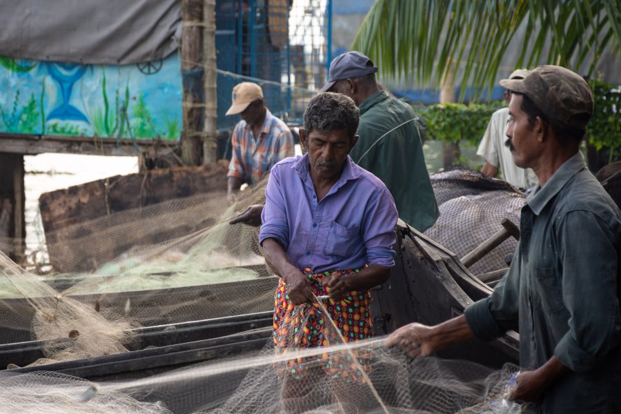 Pêcheurs à Cochin, Kerala, Inde du Sud