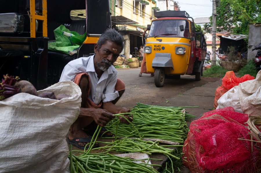 Vendeur de légumes à Cochin, Kerala, Inde du sud