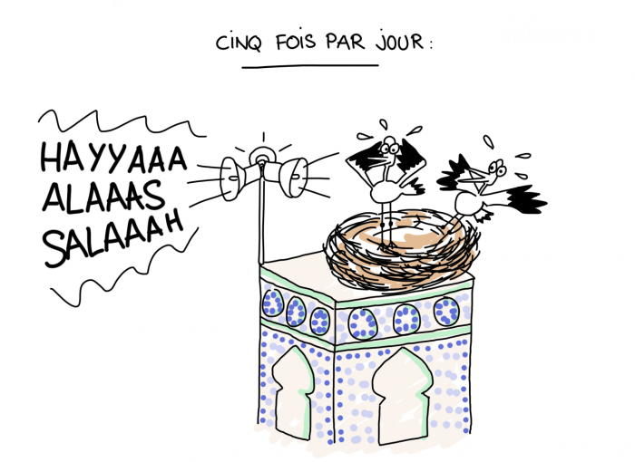 Dessin du lundi : Mais pourquoi donc les cigognes du Maroc choisissent-elles de s'installer sur les minarets ?