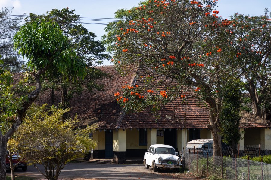 Madikeri, Coorg, Karnataka, Inde du sud