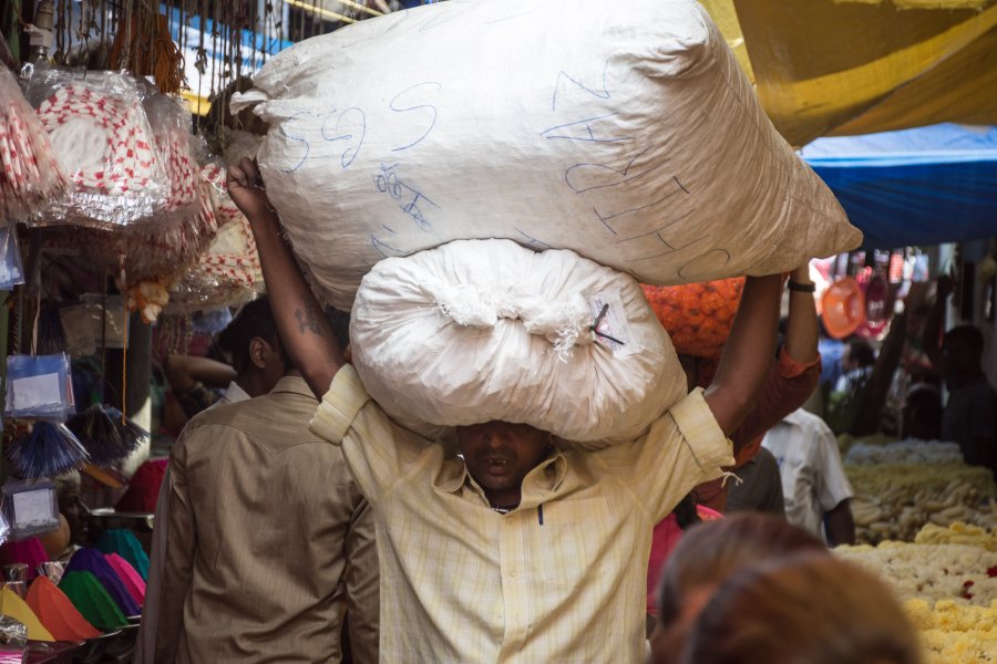 Porteur au marché de Mysore, Karnataka