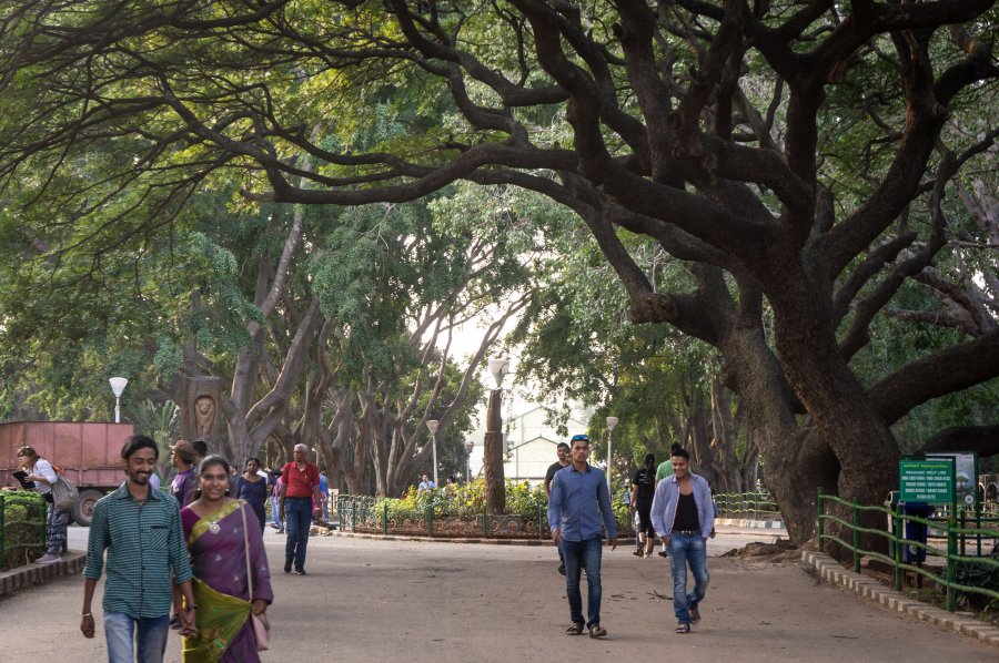 Jardin botanique Lal Bagh à Bangalore, Inde