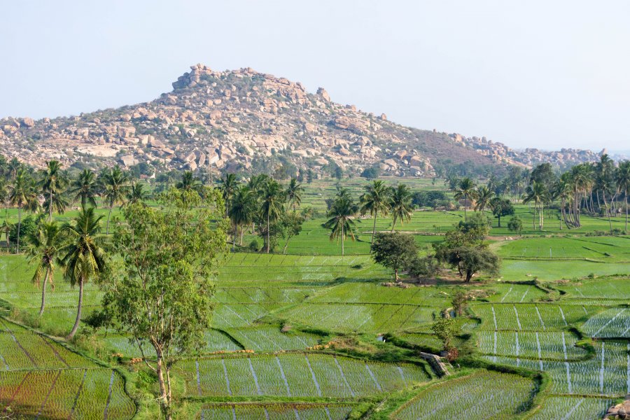 Rizières et rochers à Hampi, Inde