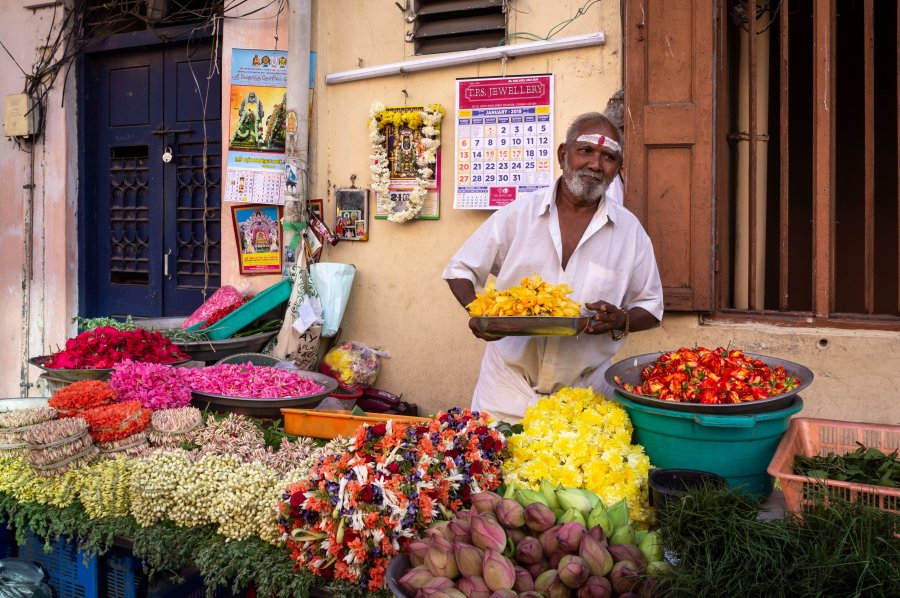 Vendeur de fleurs à Chennai en Inde