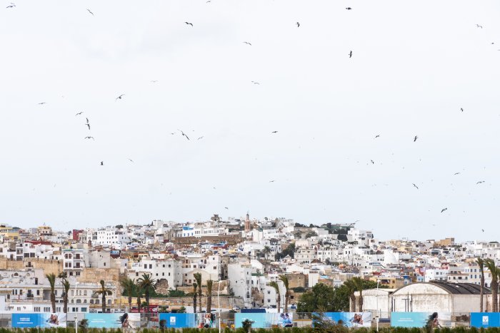Vue sur la médina de Tanger, Maroc