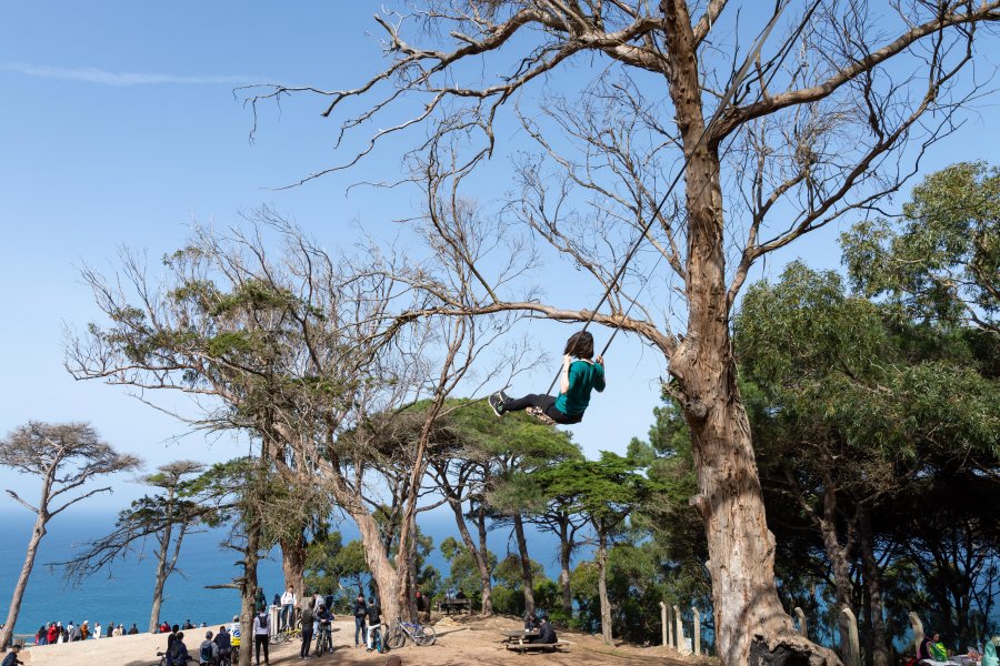 Balançoire dans les arbres au parc Perdicaris