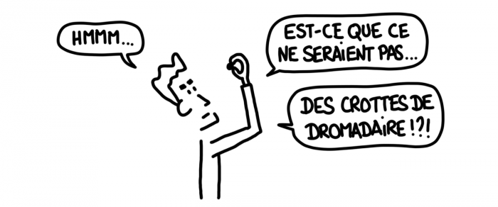 Dessin : crottes de dromadaires dans le désert