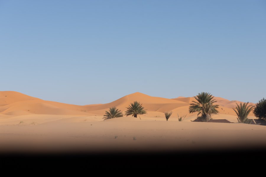 Dunes du Sahara à Merzouga