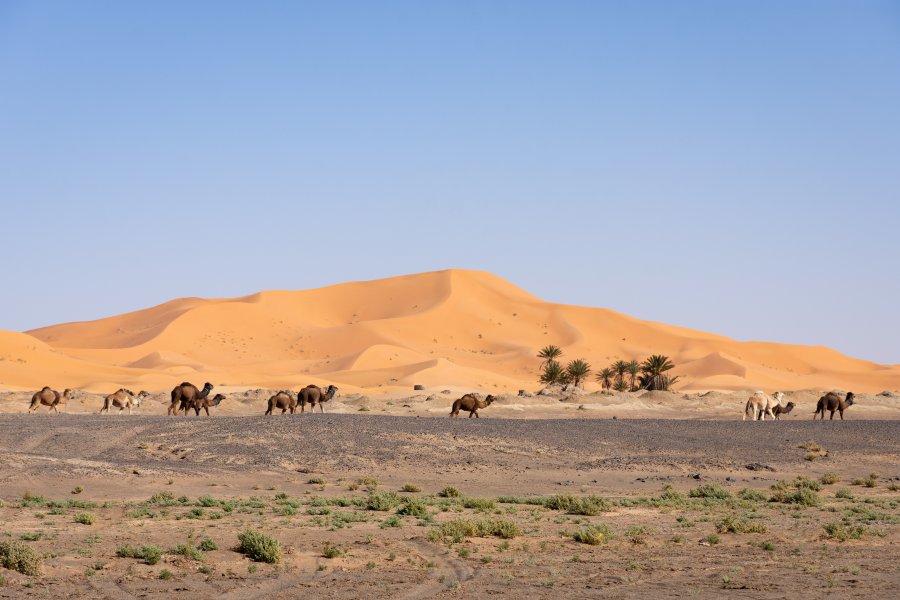 Désert du Sahara à Merzouga au Maroc