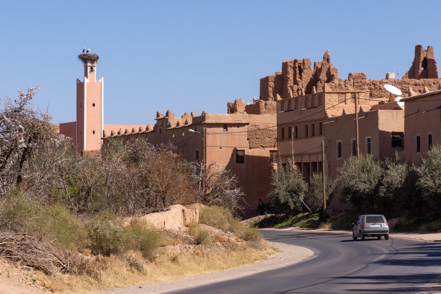 Cigogne près de Skoura au Maroc