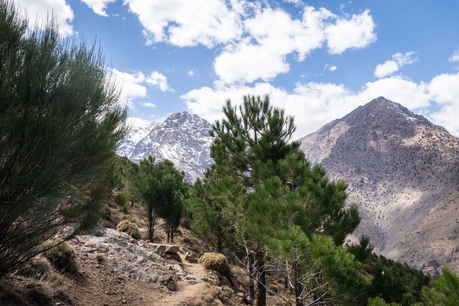 Randonnée à Imlil, Toubkal