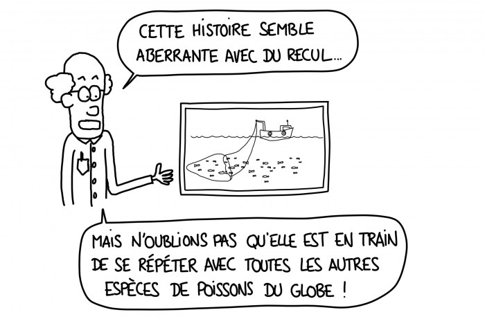 Dessin : La surpêche