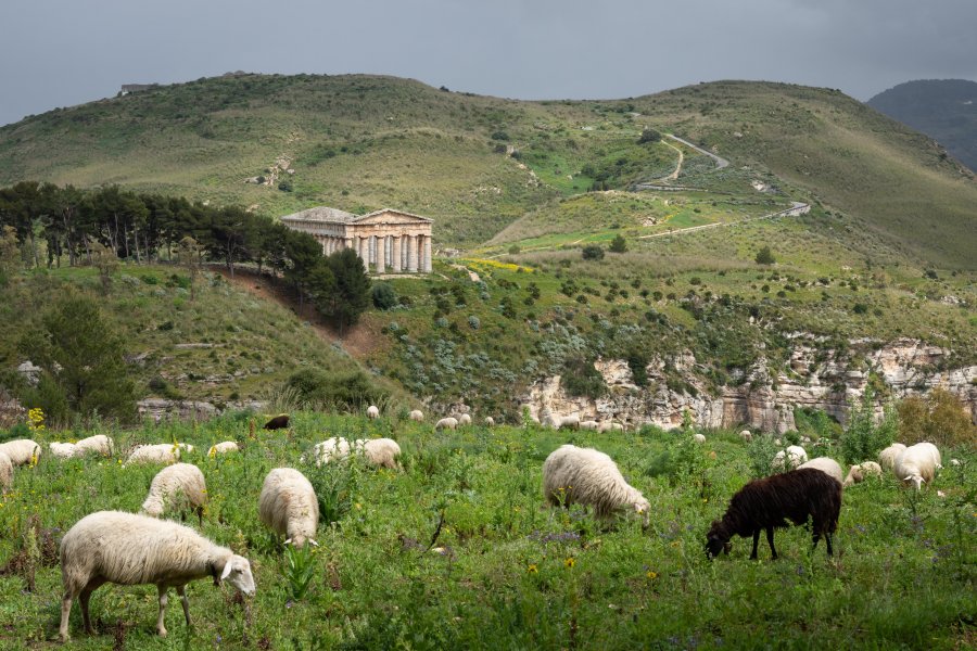 Temple de Segesta, Sicile, Italie