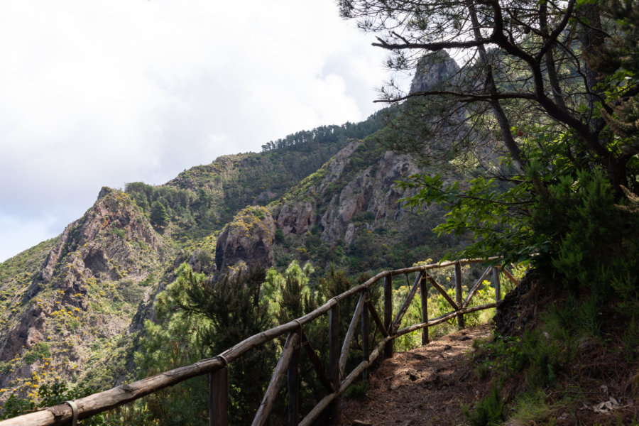 Randonnée sur le Monte Fossa delle Felci, Salina