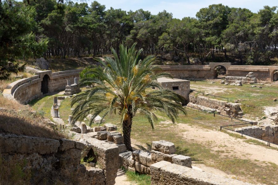 Amphithéâtre romain de Carthage