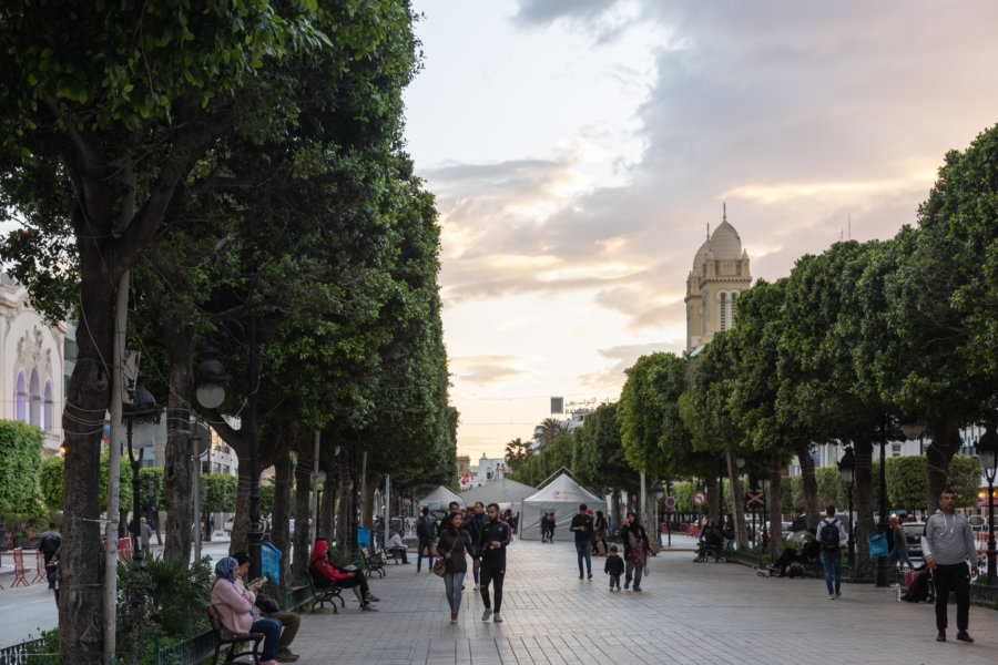 Avenue Habib Bourguiba à Tunis