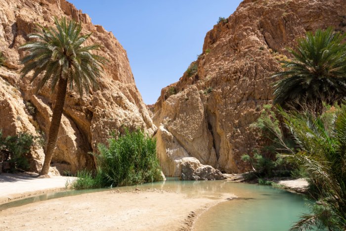 Lac turquoise à l'oasis de Chebika, Tunisie