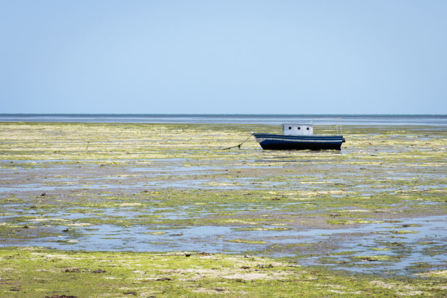 Plage de Mahares en Tunisie