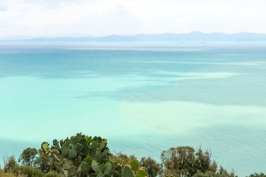 Mer turquoise à Sidi Bou Saïd