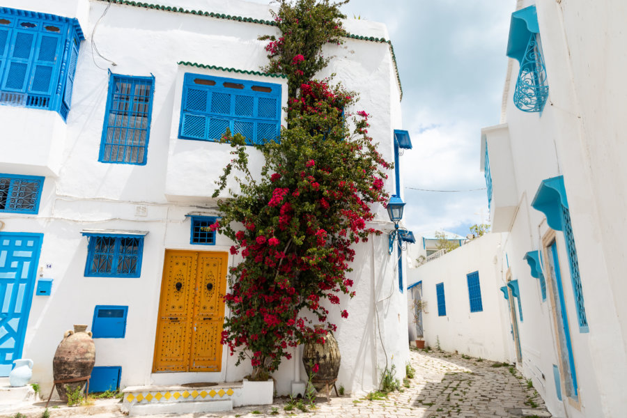 Ruelle de Sidi Bou Saïd, Tunisie