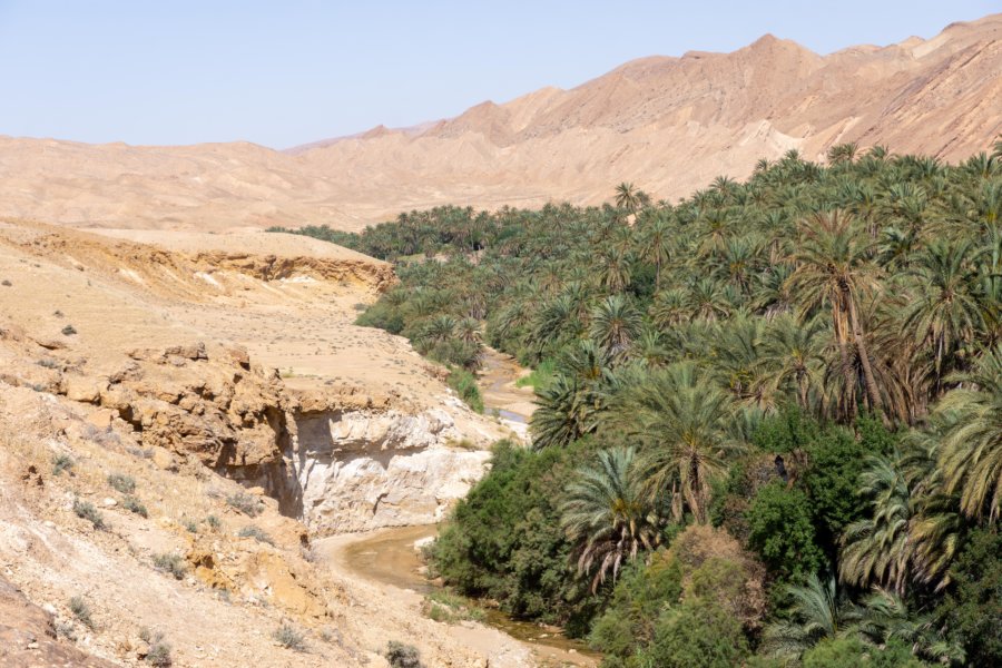 Oasis et Tamerza et palmeraie