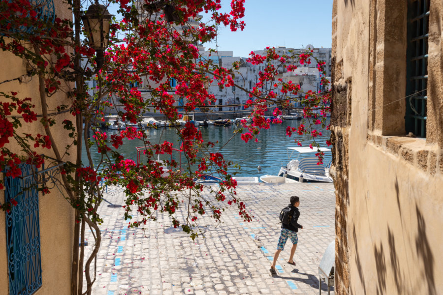 Port et fleurs à Bizerte