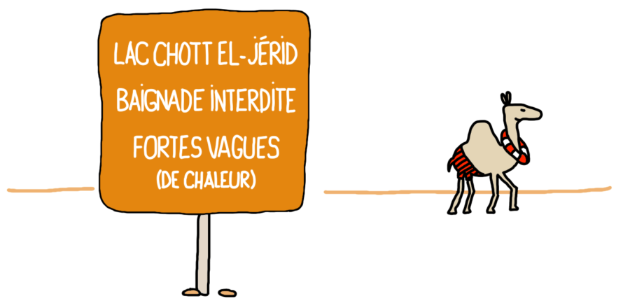 Dessin : lac asséché, baignade interdite, Chott el-Jérid, Tunisie